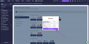 пример подтверждения платежа на wowbet